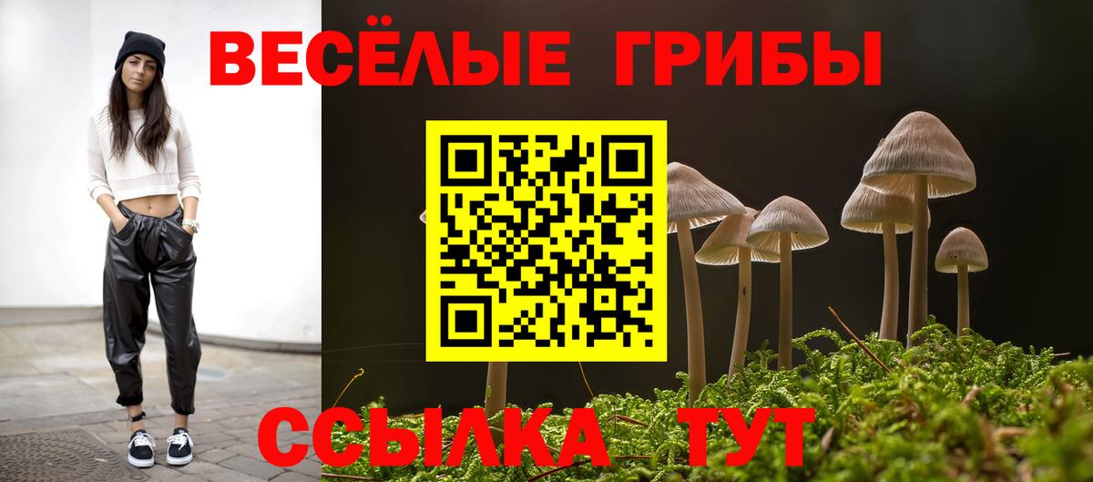 Псилоцибиновые грибы ЛСД  Вход с VPN  Кингисепп  Псилоцибиновые грибы Cubensis 
