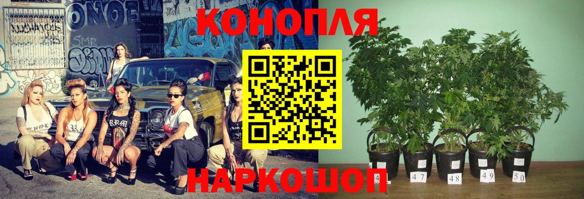 Бошки Шишки THC 21%  Бошки марихуана Ganja  МАРИХУАНА VHQ  Вход с VPN  Кингисепп 